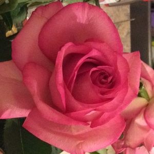 Meet your Posher, Nancy